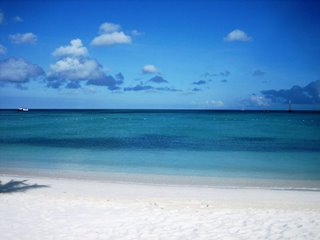 Palm Beach Aruba as far as the eye can see.