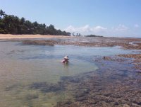 Sitting in the corals with a coconut.  Morro de Sao Paulo Beach - Brazil