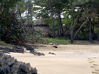 Dominican Republic - Natura Cabanas