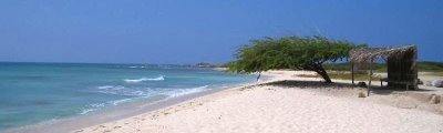 Arashi Beach Aruba Beaches
