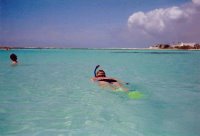 Snorkeling at Baby Beach, Aruba Beaches