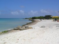 Outcropping between Palm Beach and Eagle Beach Aruba