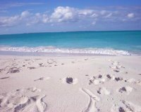 Abacos Beach, Bahamas