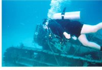 Diving the reef off Andros Island, Bahamas