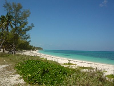 Beach view on Andros Island, Bahamas