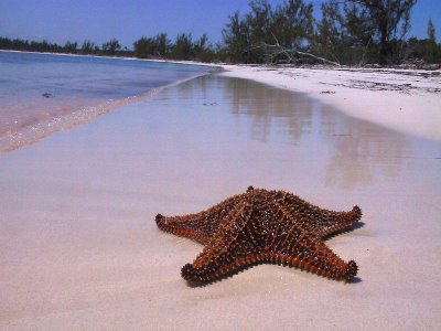 Club Med Beach - Eleuthera