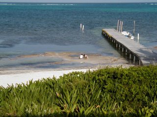 Ambergris Caye Beach, San Pedro, Belize