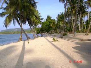 Playa Rincon, Samana - Dominican Republic