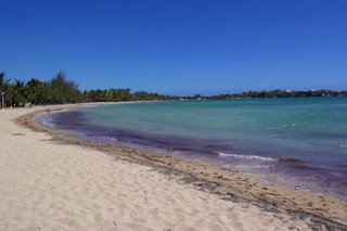 Cana Gorda Balneario, near Guanica Dry Forest, Puerto Rico