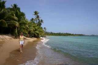 Narrow Green Beach, Vieques, Puerto Rico