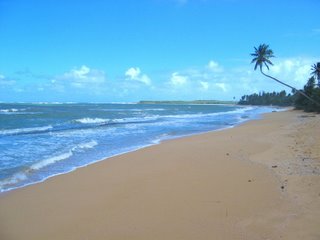 Beautiful Pinones Beach, San Juan, Puerto Rico