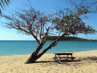 Table at Sun Bay, Vieques, Puerto Rico
