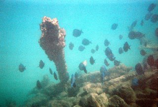 El Escambron Beach, San Juan, Puerto Rico