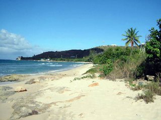 Cane Bay Beach, St. Croix, USVI