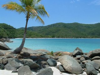 Little Magens Bay Beach - St .Thomas USVI
