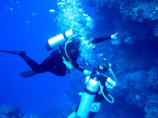 Palancar Reef, Cozumel, Mexico
