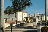 Palms in West Palm Beach, Florida