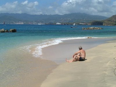 Pink Gin Beach - Grenada, Spice Island