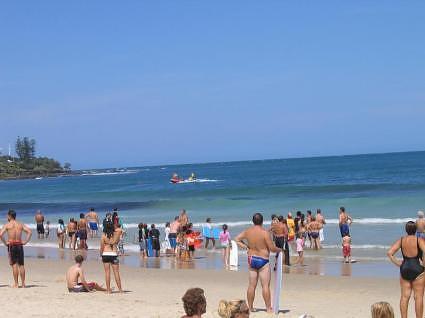 Sunshine coast: shark alert, everyone out!