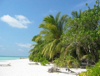 Beautiful Veligandu Beach - Maldives