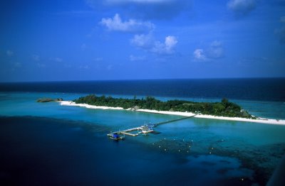 Best Beach Maldives - Veligandu Island