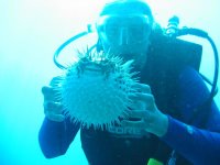 Los Frailes and Cabo Pulmo, Los Cabos