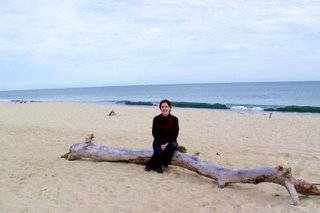 Sitting on nature - Playa Hotelera - San Jose del Cabo