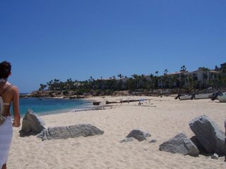 Bahia Palmilla - Cabo San Lucas