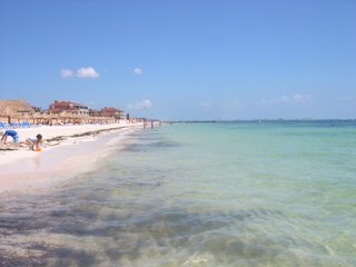 Cancun Beach - Beach in Cancun
