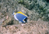 Anse Lazio, Praslin, Seychelles