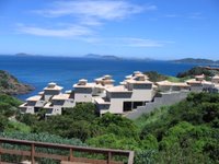 Growth at Albatroz, Búzios, Brazil