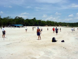 Beach on the Rio Negro, Amazonas, Brazil