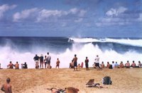 North Shore Hawaii Best Surf Beaches
