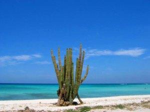 Arashi Beach Aruba