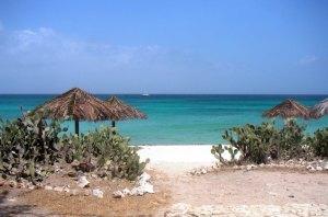 Arashi Beach Aruba