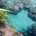Chankanaab Lagoon - Cozumel