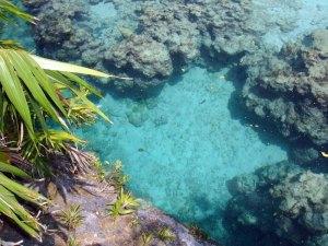 Chankanaab Lagoon - Cozumel