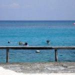 chankanaab-lagoon-beach-02