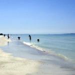 Fort De Soto Park - Tampa St Pete