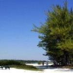 Fort De Soto Park - Tampa St Pete