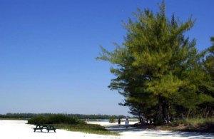 Fort De Soto Park - Tampa St Pete