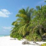 Maldives Best Beach - Veligandu Island