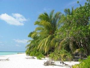 Veligandu Resort Maldives