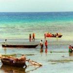 fishing Matemwe beach Zanzibar Tanzania