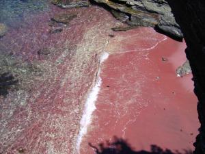 Red Sand Beach - Forno, Buzios, Brazil