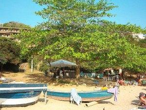 Praia de Joao Fernandinho Boats