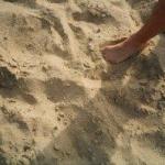 Sand at Playa Solmar Beach Cabo San Lucas