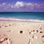Beaches of Abacos Bahamas