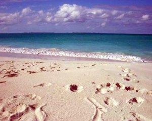 Beaches of Abacos Bahamas