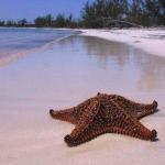 Club Med Beach Eleuthera Bahamas